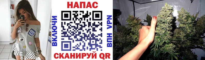 Канабис OG Kush Щучье